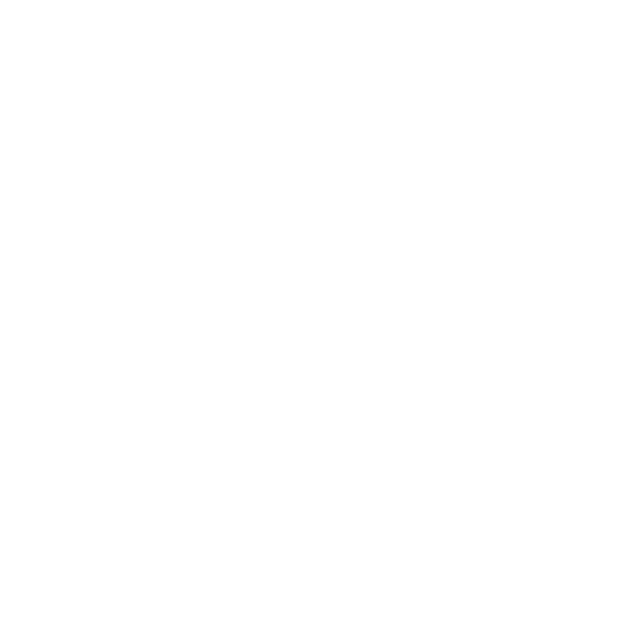 Co-Pilot Consulting